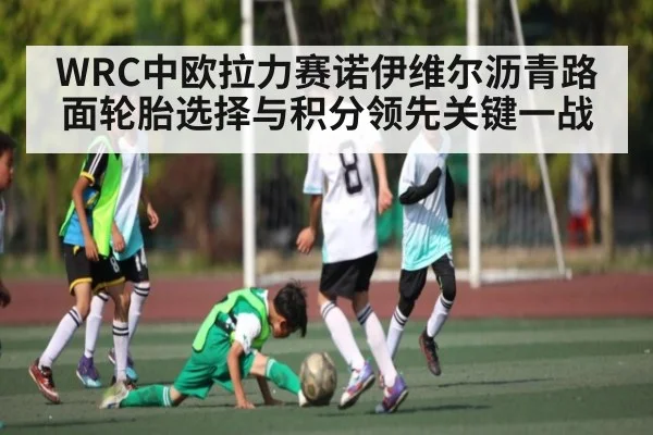 WRC中欧拉力赛诺伊维尔沥青路面轮胎选择与积分领先关键一战 - kaiyun